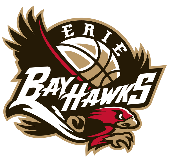 Bay Hawks